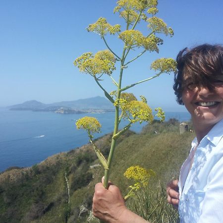 Mary'S Dream - Villa Overlooking Capri And Ischia In Sorrento Peninsula Massa Lubrense Exteriör bild