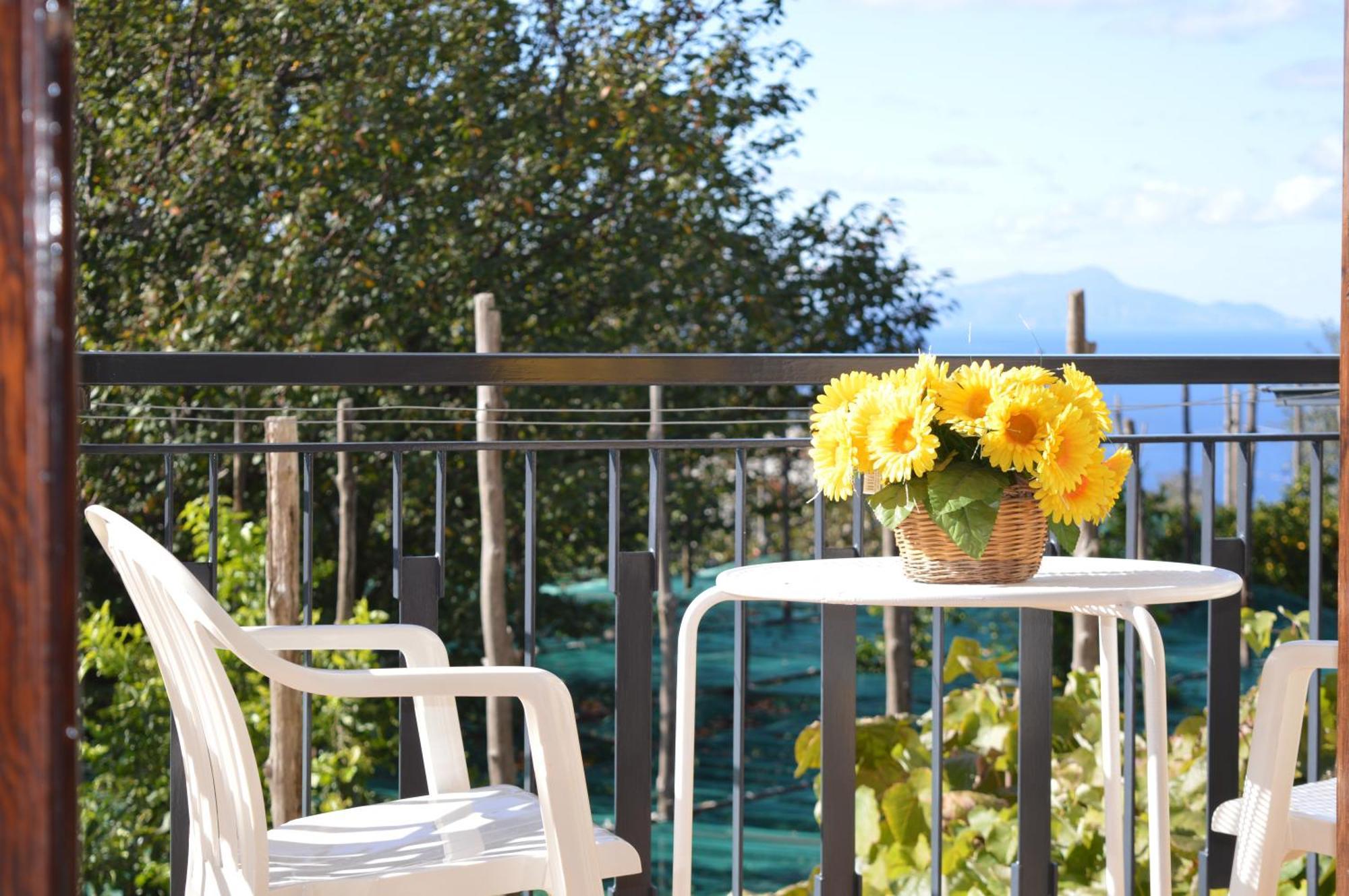 Mary'S Dream - Villa Overlooking Capri And Ischia In Sorrento Peninsula Massa Lubrense Exteriör bild